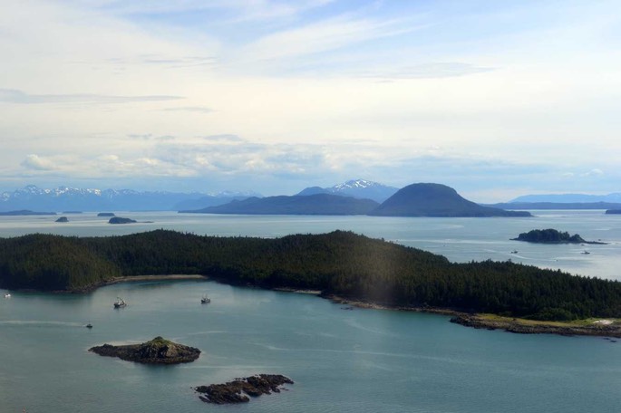 Piper 20 [Desktop Auflösung]