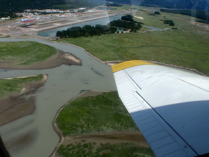 Piper Hannes 1 [Desktop Auflösung]