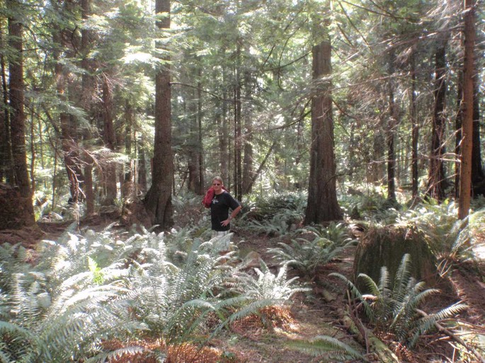 Plumber Cove 2 [Desktop Auflösung]