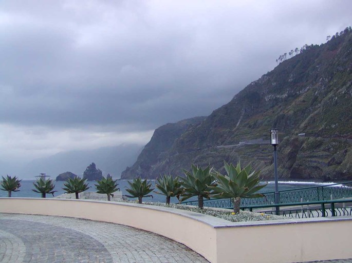 portomoniz