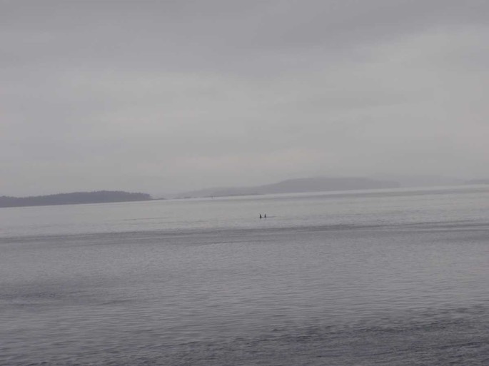 Reid Harbour 16 [Desktop Auflösung]