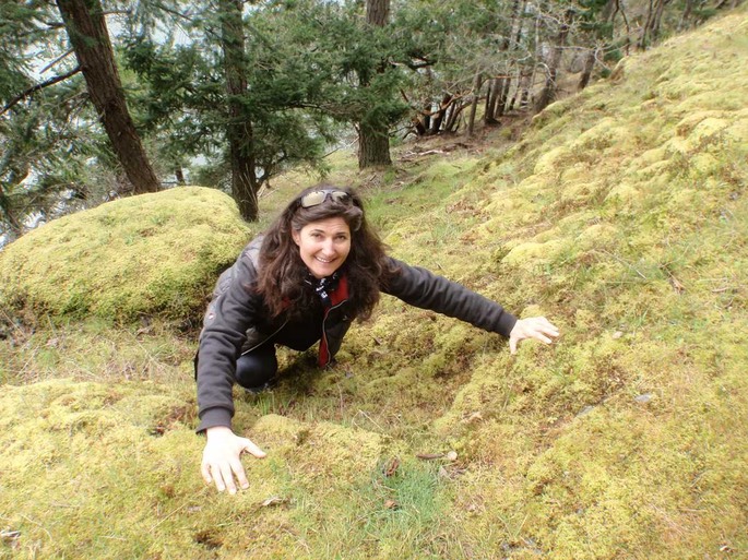 Reid Harbour 6 [Desktop Auflösung]