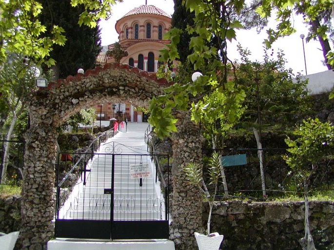 rhodosagionektarios