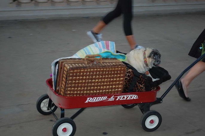 San Diego (29) [Desktop Auflösung]