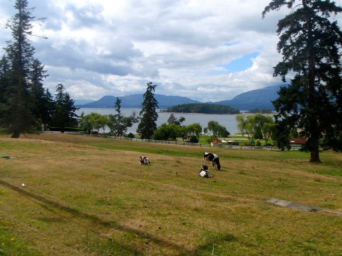 Telegraph Cove 2 [Desktop Auflösung]