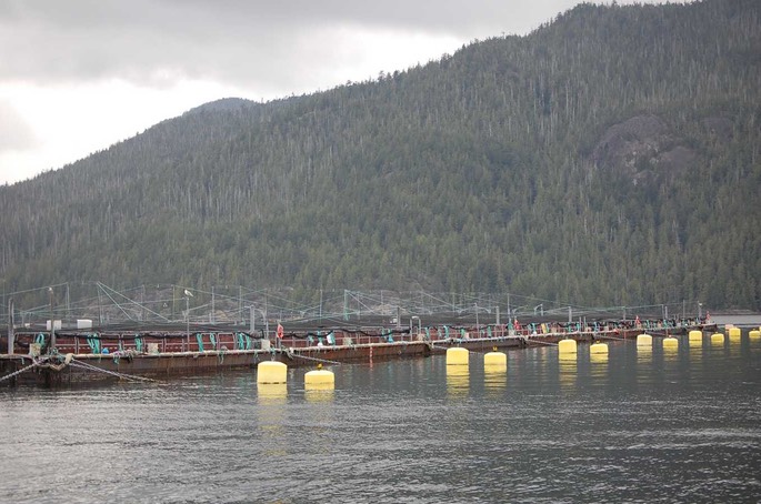 Tofino (1) [Desktop Auflösung]