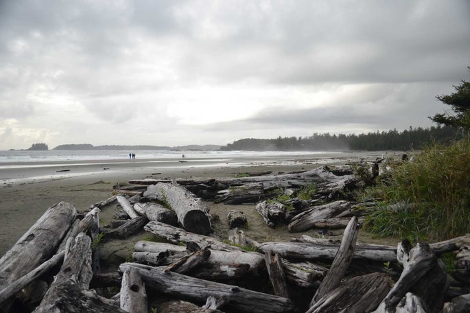 Tofino (14) [Desktop Auflösung]
