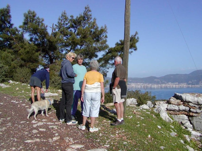 walkgruppeamstein